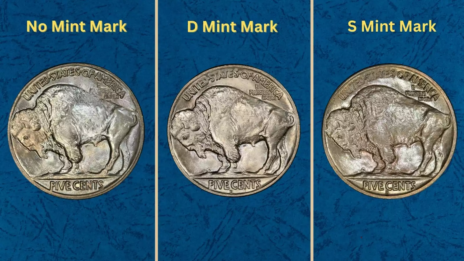 Three 1920 Buffalo Nickels from Philadelphia, Denver, and San Francisco mints displayed side by side showing all three varieties